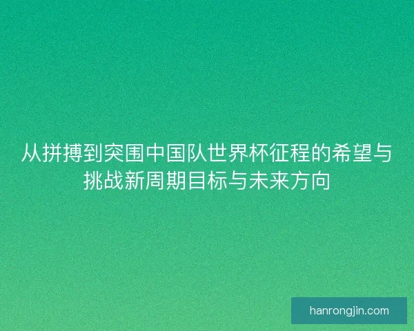 从拼搏到突围中国队世界杯征程的希望与挑战新周期目标与未来方向